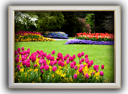 Beautiful lawn and flower beds - this could be yours!